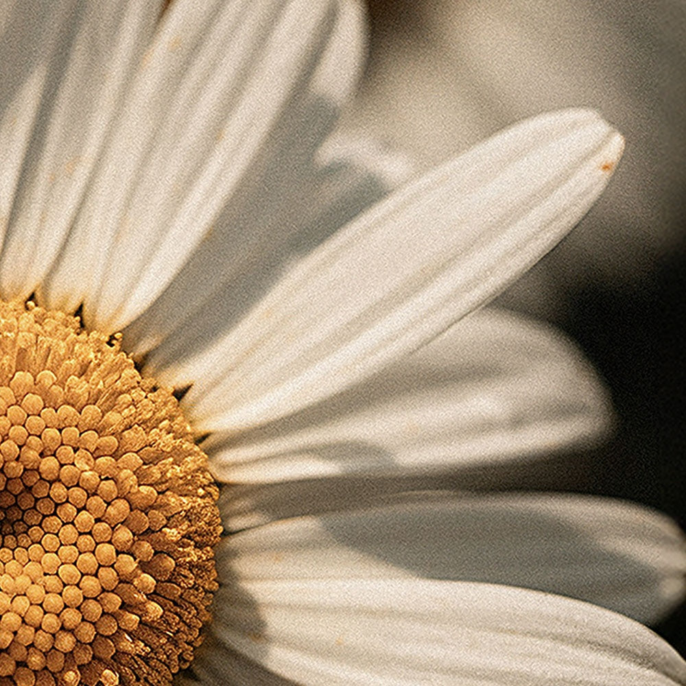 Manuka Honey Chamomile Tallow Body Balm Test 02