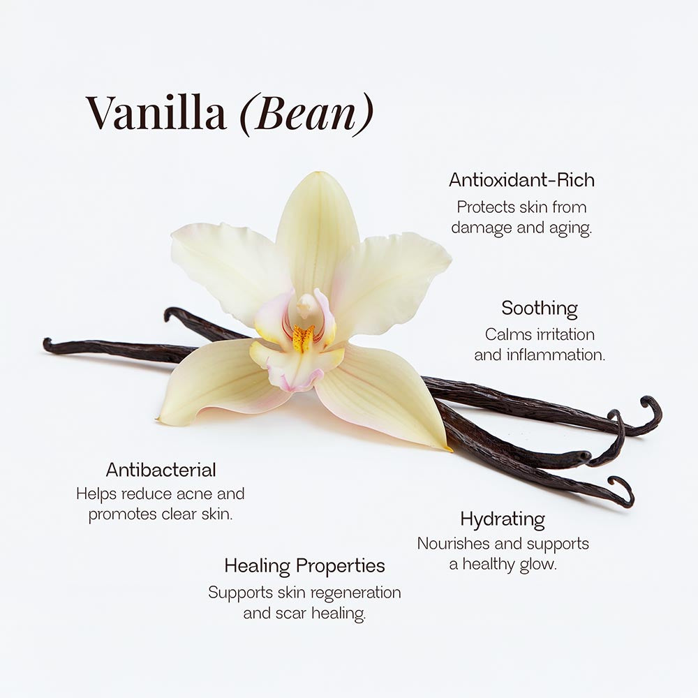 Whipped Grass-Fed Tallow Balm with Vanilla Bean Test Feb 25